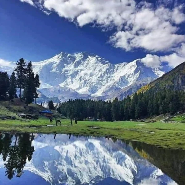 5 Days Fairy Meadows Tour – Explore Heaven on Earth with Divine Adventures