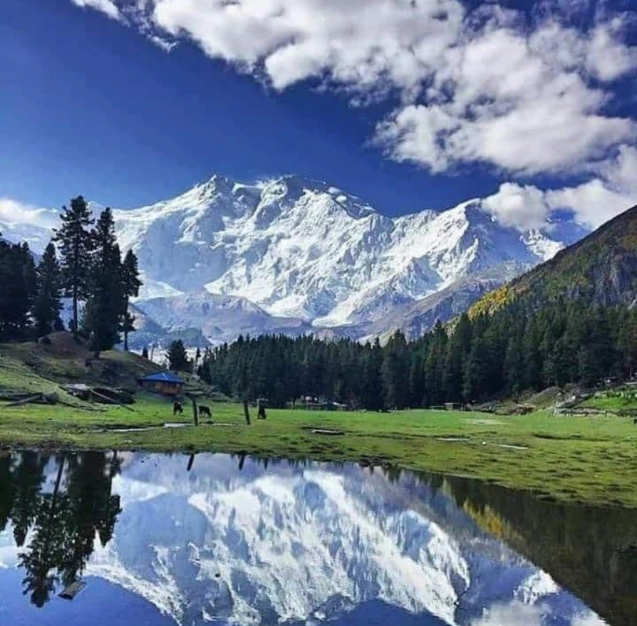 5 Days Fairy Meadows Tour – Explore Heaven on Earth with Divine Adventures