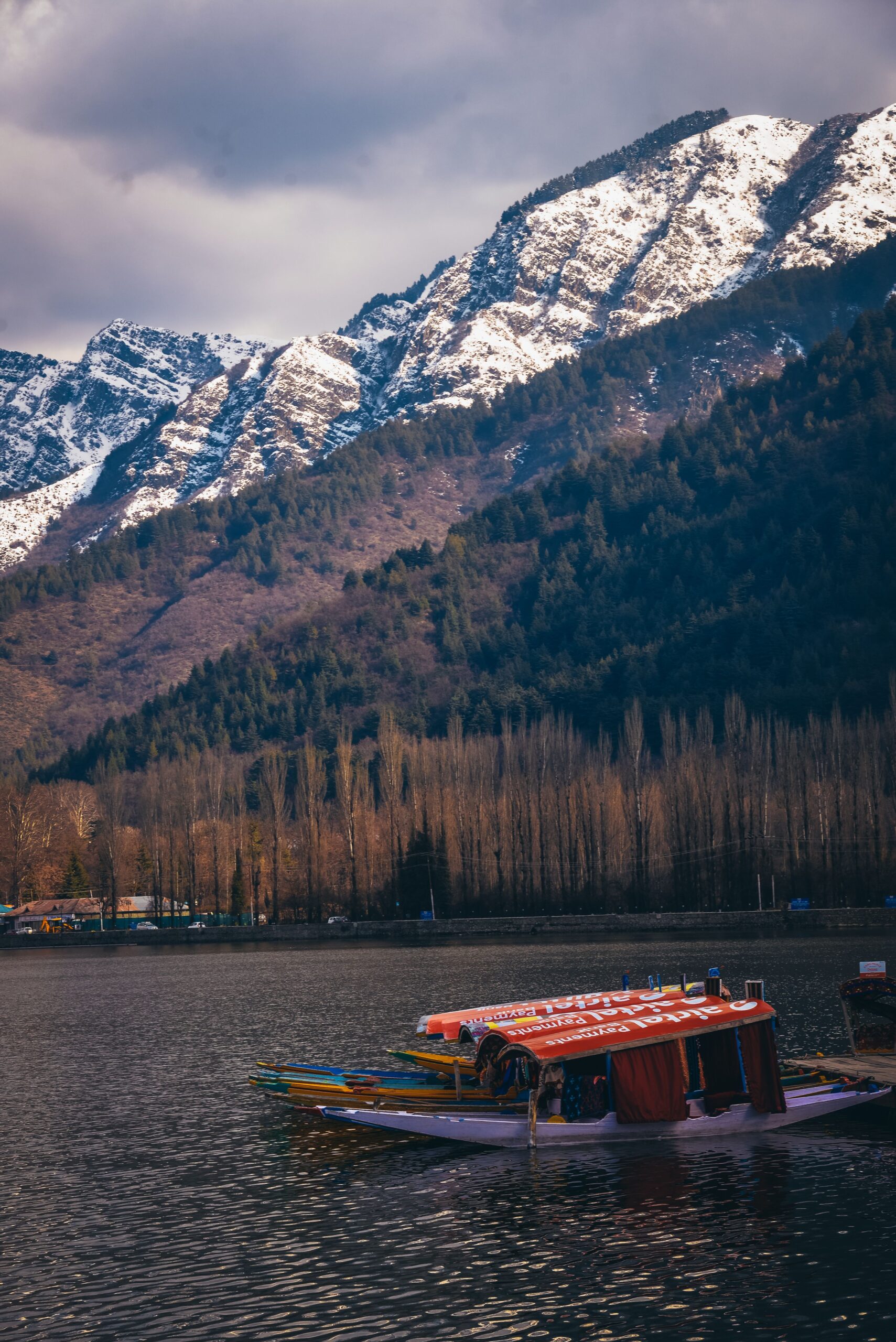 Kashmir scaled